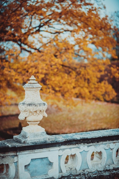 Close-up of sculpture on tree during autumn