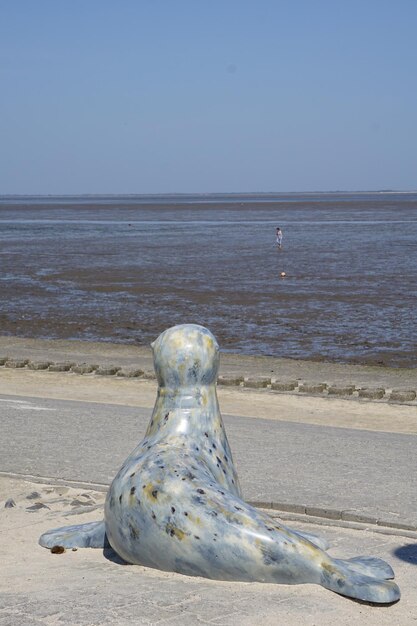 Close-up of sea against clear sky