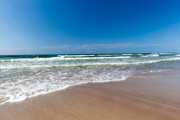 Photo close up on sea coast in summer