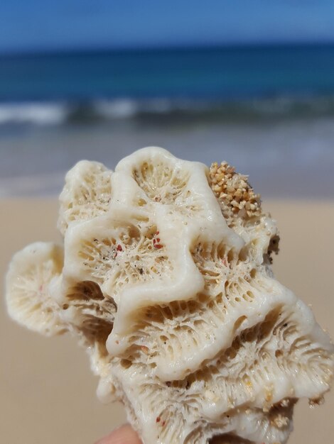 Photo close-up of sea shore at beach