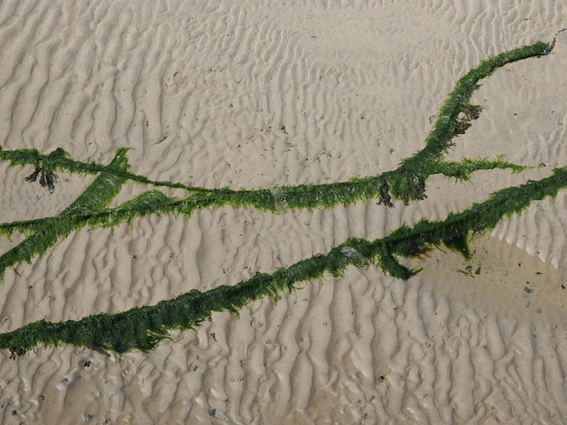 Foto prossimo piano della riva del mare