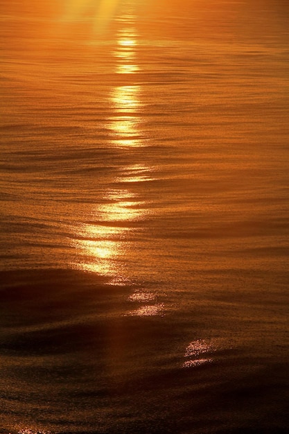 Close-up of sea at sunset