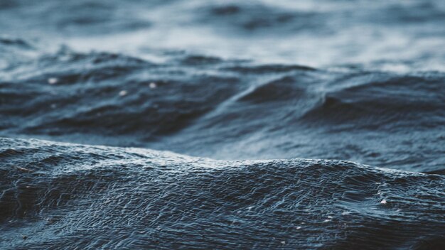 Photo close-up of sea