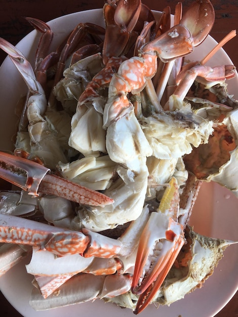 close-up of seafood