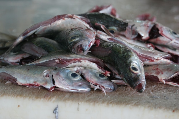 Близкий план морепродуктов