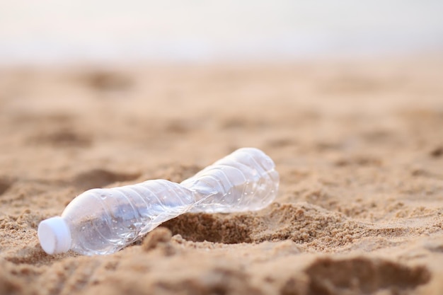 close-up of seashell on beach