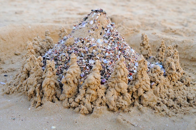 Foto prossimo piano di una conchiglia sulla spiaggia