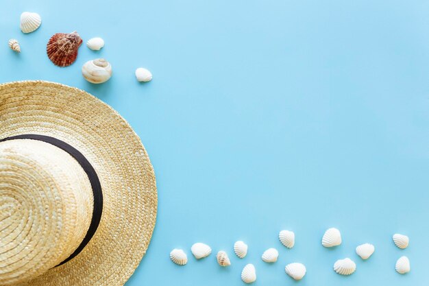 Close-up of seashells on table against blue sky