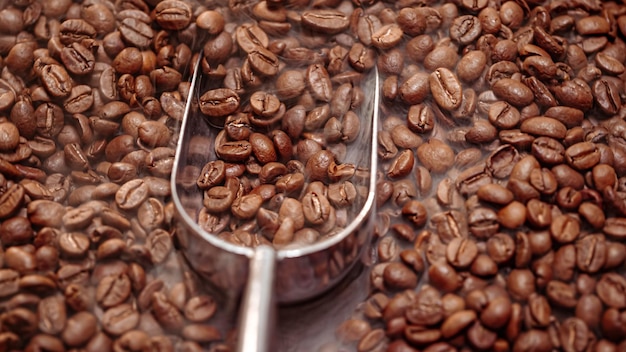 커피 씨앗을 닫습니다 향기로운 커피 콩은 볶은 연기가 커피 콩에서 나옵니다