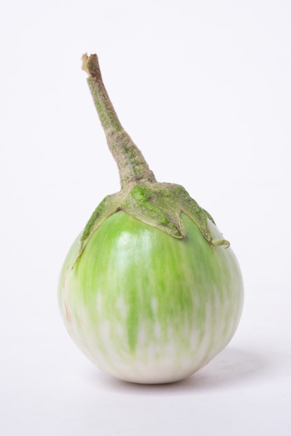 Close up and selective focus green eggplant.Eggplant on white backdrop.