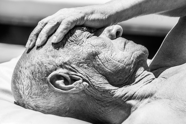 Close-up of senior man lying down outdoors during sunny day