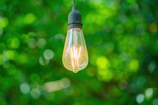 Close up several led bulbs on green bokeh background saving\
energy eco concept ftat lay copy space light bulbs lie in a\
row