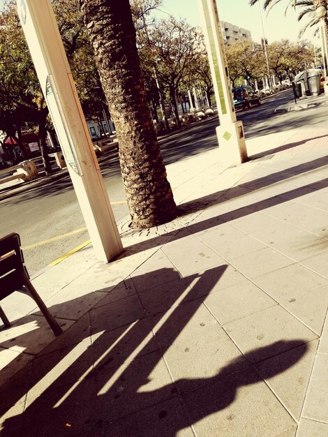 Close-up of shadow on ground