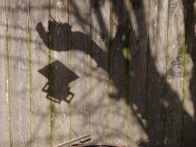 Photo close-up of shadow on window