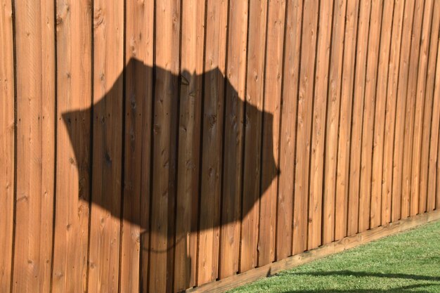 Close-up of shadow on wood