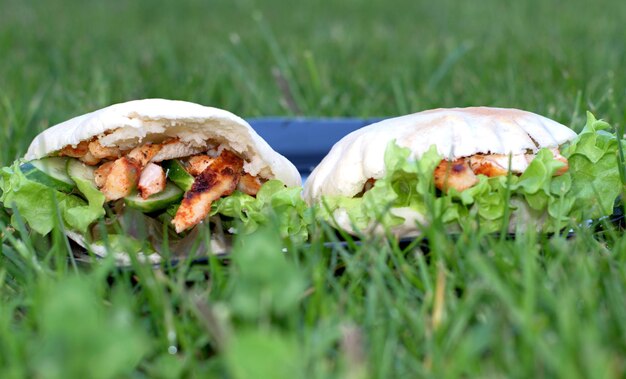 Photo close-up of shawerma growing on field