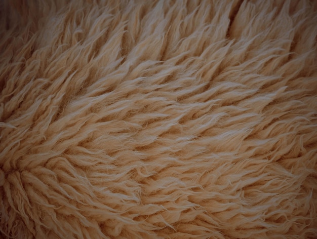 close up sheepskin texture backgroundsheepskin