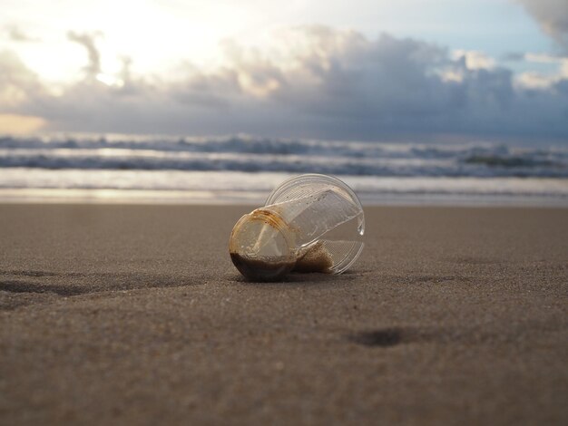 Photo close-up of shell on beach