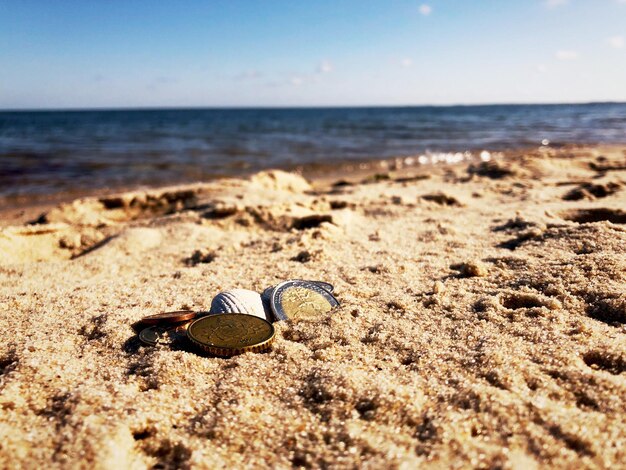 Foto prossimo piano di una conchiglia sulla spiaggia