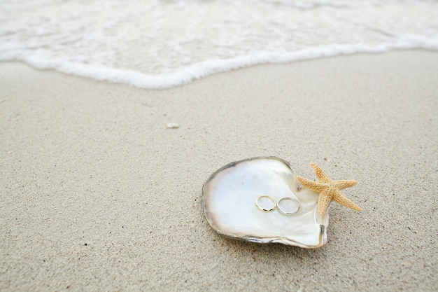 Photo close-up of shells on beach