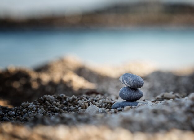 Photo close-up of shells on beach