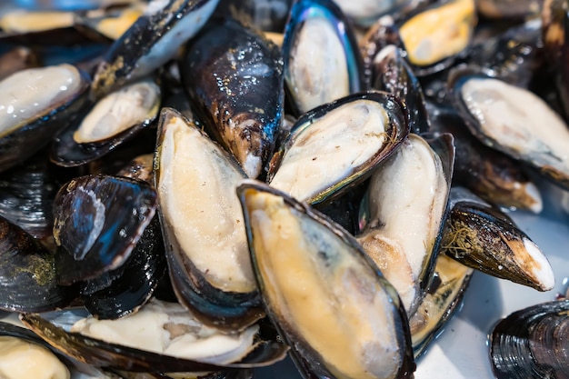 Close-up of shells for sale