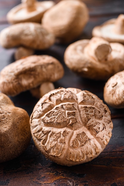 Close up on shiitake mushrooms