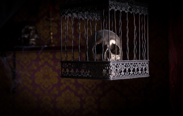 Close Up of Shiny Gothic Skull in Ornate Metal Cage in Room with Patterned Wallpaper, Used for Witchcraft and Casting Spells