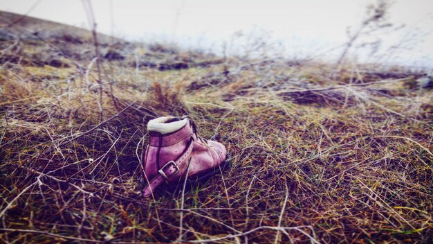 Photo close-up of shoe on grassy field