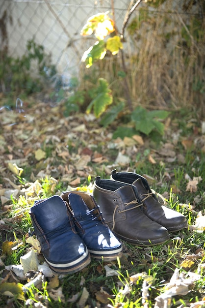 Close-up of shoes on plants