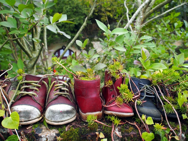 Photo close-up of shoes on potted plant