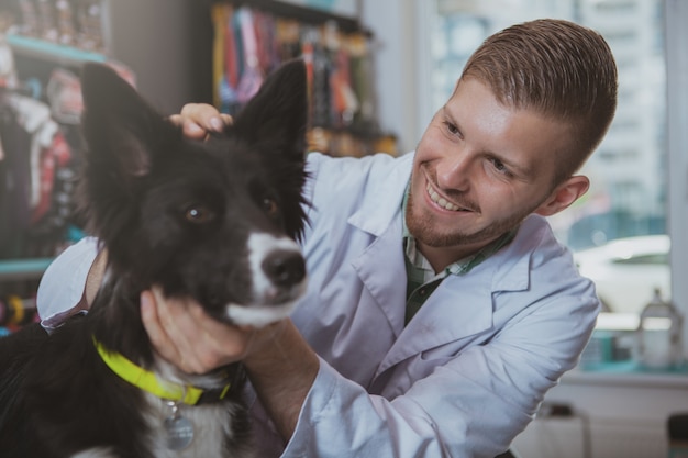 Photo close up shot of adorable black canine having ear examination by handsome male vet doctor