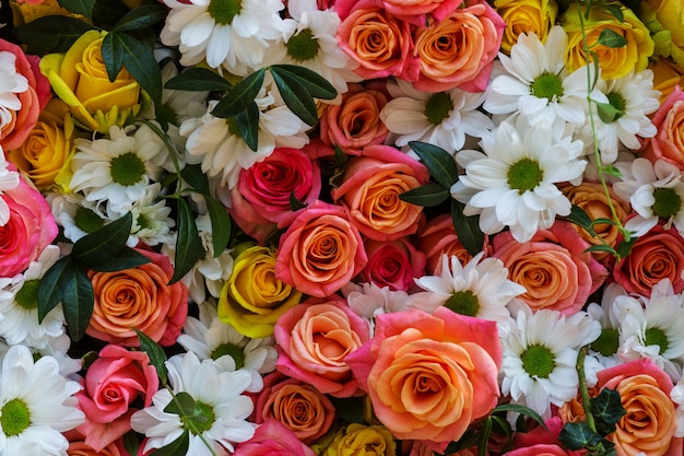 Close-up shot of the beautiful flowers. Suitable for floral background.