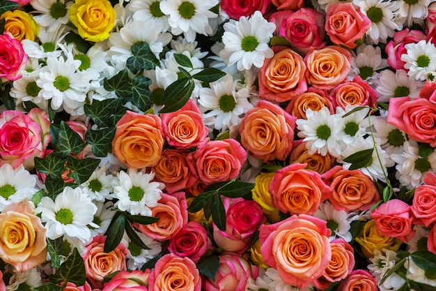 Close-up shot of the beautiful flowers. Suitable for floral background.