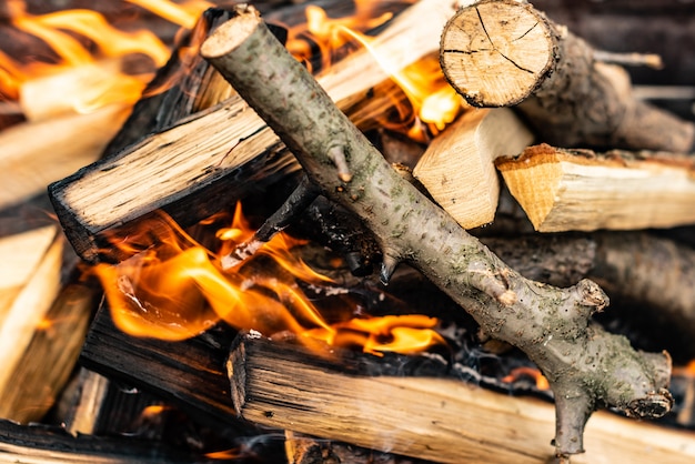 Close up shot of burning firewood