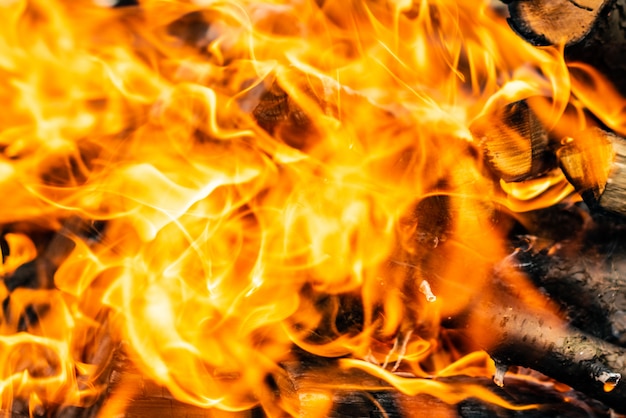 Close up shot of burning firewood