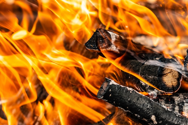 Close up shot of burning firewood