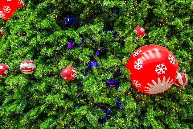 Close-up shot chrismas tree for background.