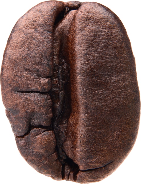 Close-up shot coffee beans on a white background