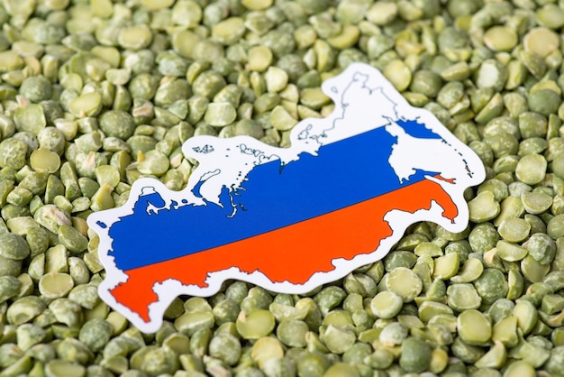 Close up shot of flag and map of russia on green dry pea Concept of growing pea in russia origin of grown seed