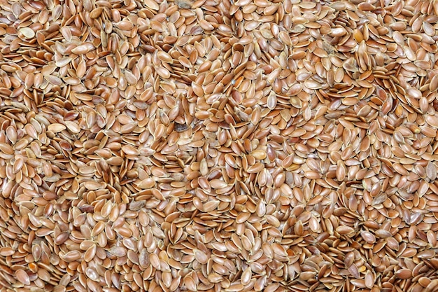 Close up shot of a flaxseed