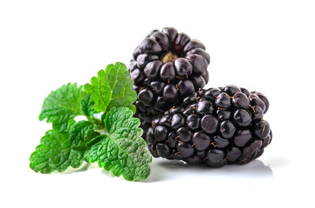 Close Up shot of fresh blackberries. 