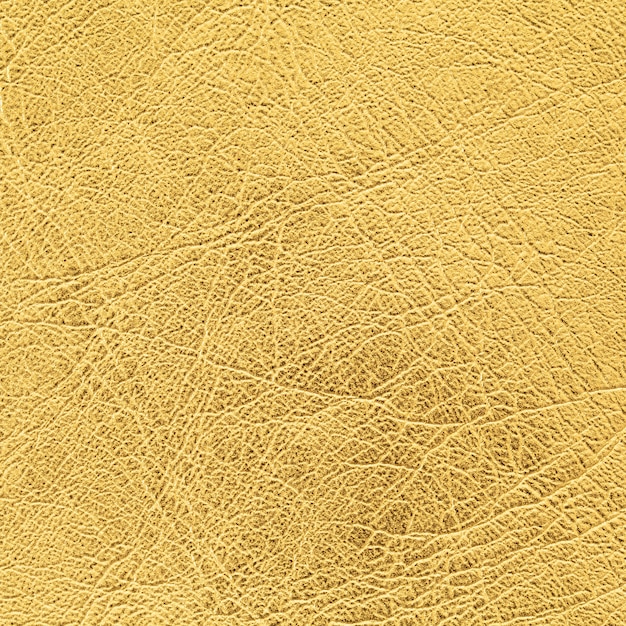 Close up shot of gold leather texture background in square ratio