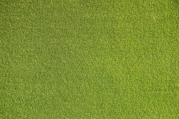 Photo close up shot of green carpet stock photo