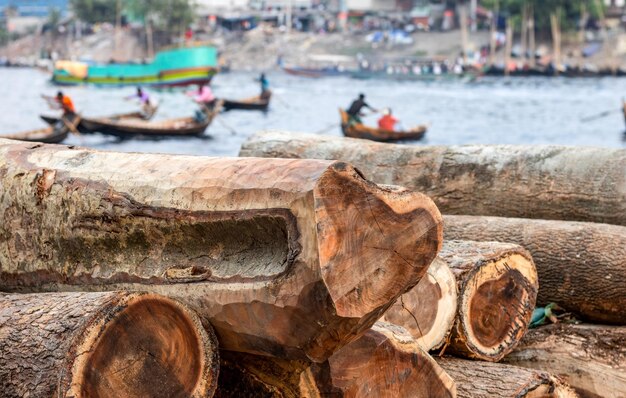 사진 방글라데시의 분주한 강에 있는 나무 줄기의 클로즈업 샷