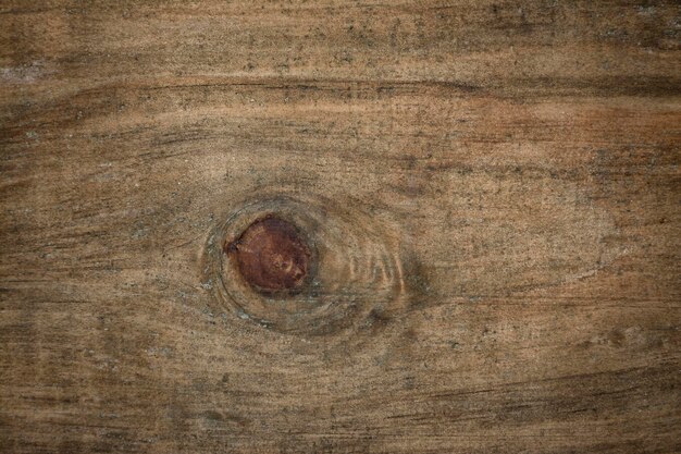 close up shot of the Plank wood texture
