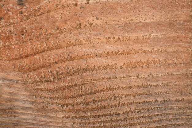 close up shot of the Plank wood texture