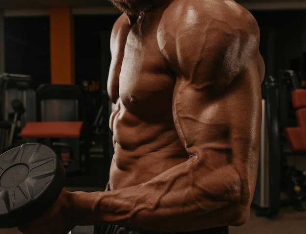 A close up shot of a torso of a bodybuilder who is doing bicep curls in a gym. A photo of a part of a muscular man during a workout.