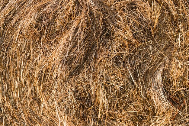 Снимок скрученного стога сена и сухой соломы крупным планом. Текстура сена. Концепция сбора урожая в сельском хозяйстве.