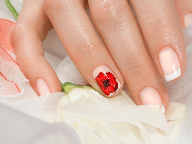 Foto close-up shot van de hand van de vrouw met french manicure met papaver bloem xaon witte achtergrond